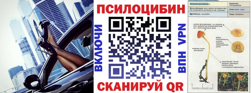 Псилоцибиновые грибы GOLDEN TEACHER  Кадников 
